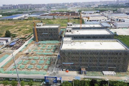 宿遷搶抓“它經(jīng)濟”新風(fēng)口 50億級寵物經(jīng)濟產(chǎn)業(yè)園蓄勢待發(fā)